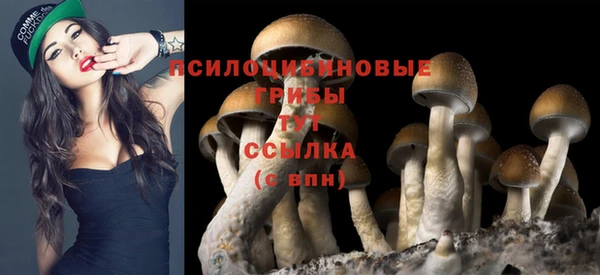 соль курить ск Арсеньев