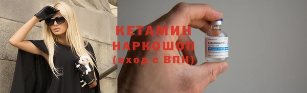 шишки Новодвинск