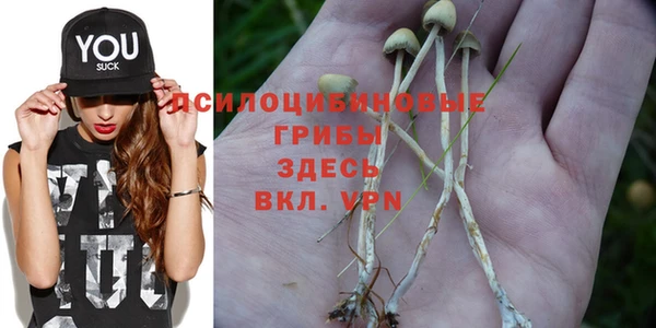 соль курить ск Арсеньев