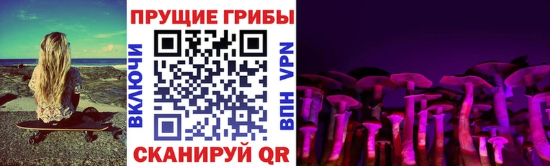 kraken tor  Сальск  Псилоцибиновые грибы мицелий 